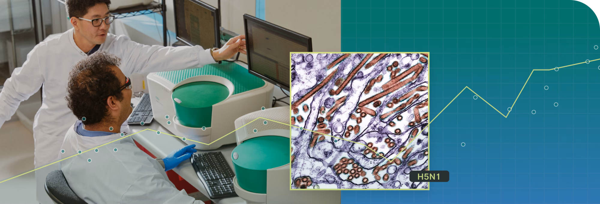 Collage of scientists assaying wastewater samples and a microscopic view of the H5N1 virus.