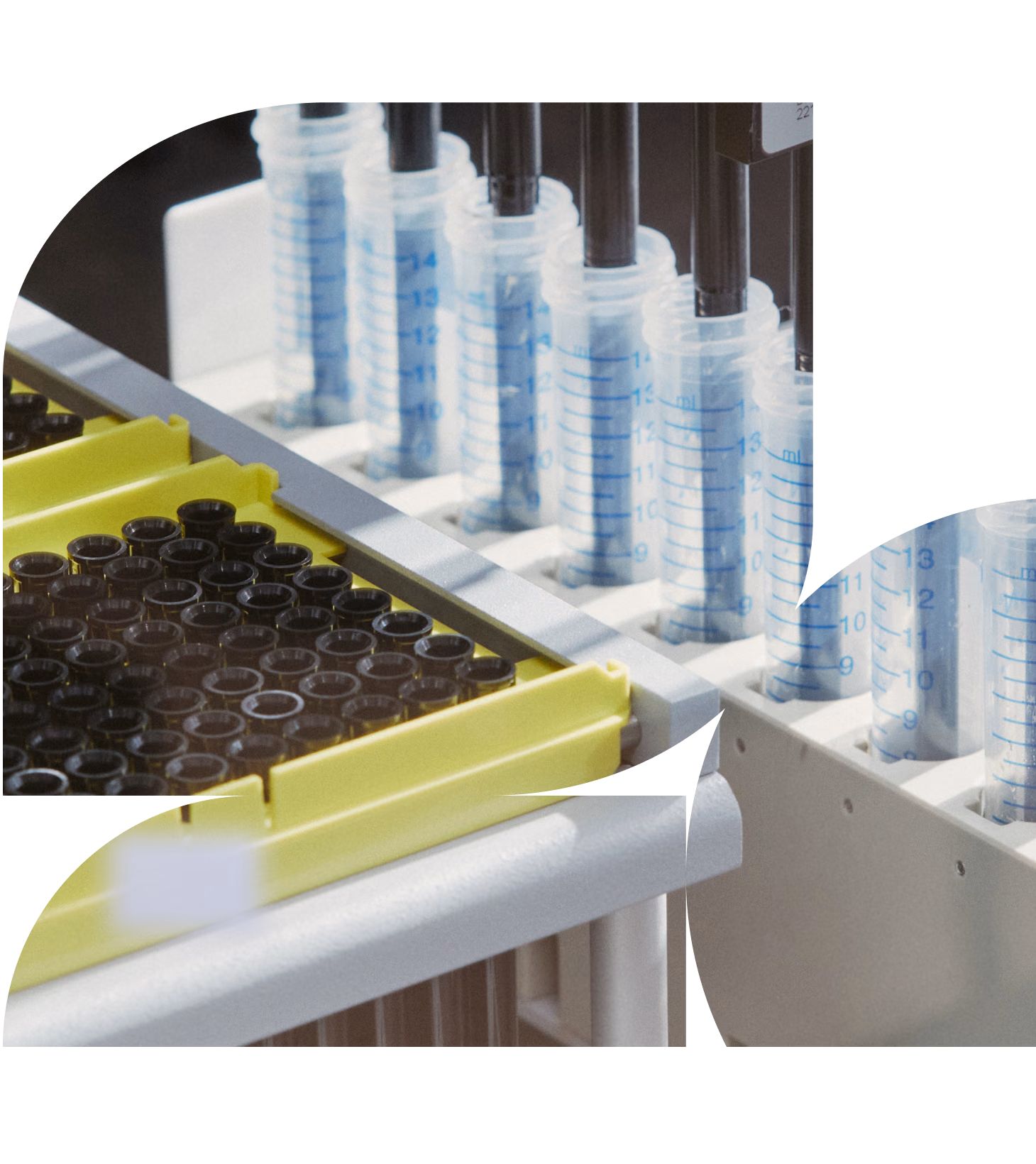Close-up view of laboratory equipment featuring graduated plastic tubes and test tube trays on a graphic-framed black background.